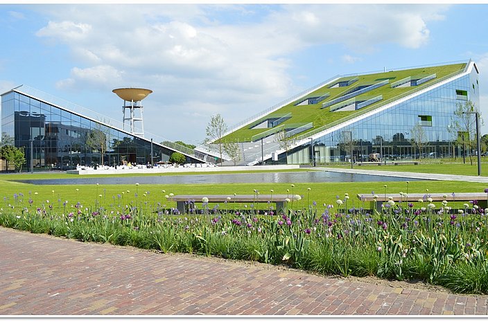 Modernes Gebäude mit Rasensteildach 